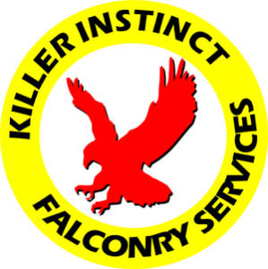 KILLER INSTINCT FALCONRY SERVICES